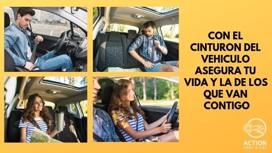 El uso del cinturón de seguridad