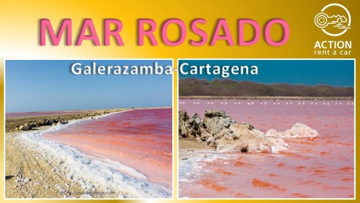 Conoce El Mar Rosado en Colombia