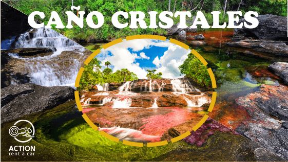 CAÑO CRISTALES:  Color, Naturaleza y vida