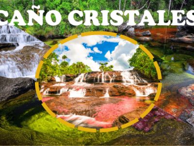 CAÑO CRISTALES:  Color, Naturaleza y vida 